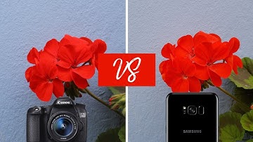 Galaxy S8 Camera VS DSLR | Canon 70D