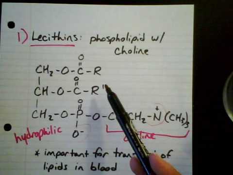 Phospholipids