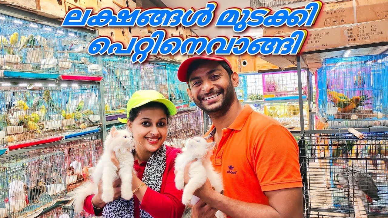 ഞങ്ങളും വാങ്ങി ഒരു ലക്ഷം രൂപയ്ക്ക് പെറ്റിനെ🐕🦮🐀🐓🦜🦤🐠 Kerala Thrissur big