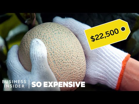 Why Japanese Melons Are So Expensive | So Expensive