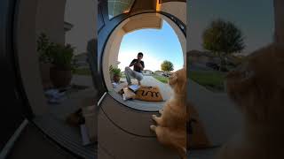 cat fire gun 😵 #short #funny #cat #memes