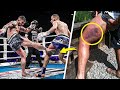 Most brutal low kick kos in combat sports