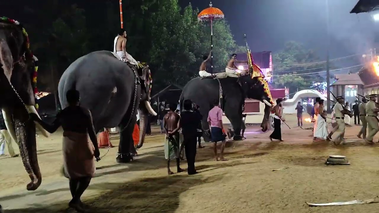 മാമ്പിയും വിഷ്ണുവും അഷ്ടമി നാളിൽ 