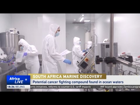 South Africa unveils marine cancer fighting discovery