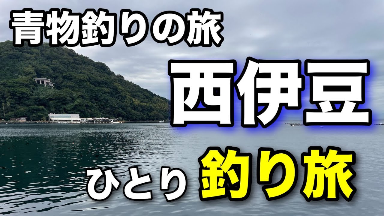 秋のハイシーズン青物が連発⁉︎西伊豆に釣り旅に行く事にした！