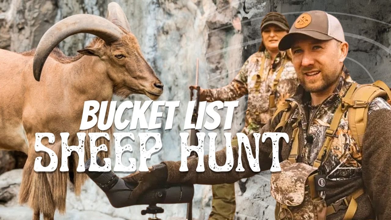 His Wife’s Dream Adventure Was On The Line