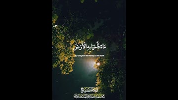 الشيخ محمد صديق المنشاوي | سورة النحل #القرآن_الكريم #المنشاوي #المصحف #quran #سورة_النحل