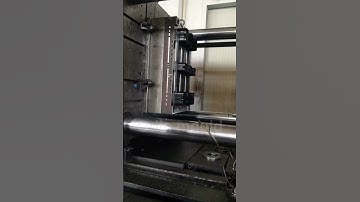 pallet mould testing