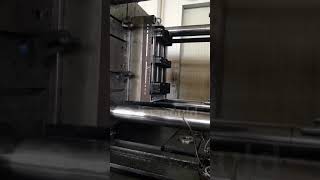 pallet mould testing