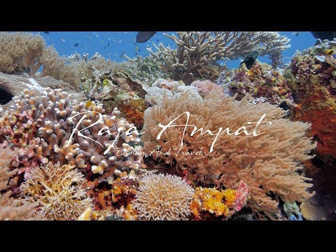 Diving And Travel - Raja Ampat - West Papua - The Marine Protected Area