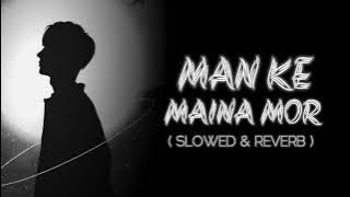Man Ke Maina Mor | मन के मैना मोर | New Cg Lofi Song | Man Qureshi | Sunil Soni #cgsong #cglofi