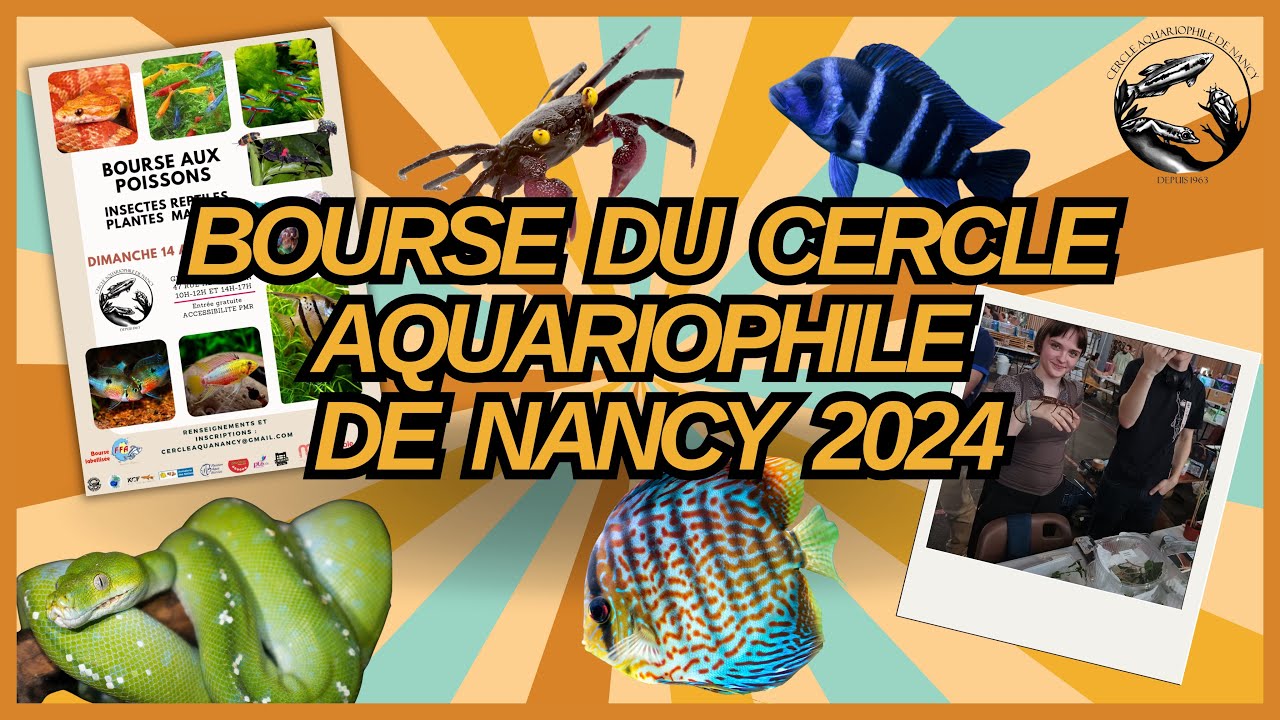 DES POISSONS, REPTILES ET INSECTES PARTOUT !! - BOURSE DU CERCLE AQUARIOPHILE DE NANCY 2024
