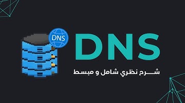 ما هو ال DNS و كيف يعمل؟