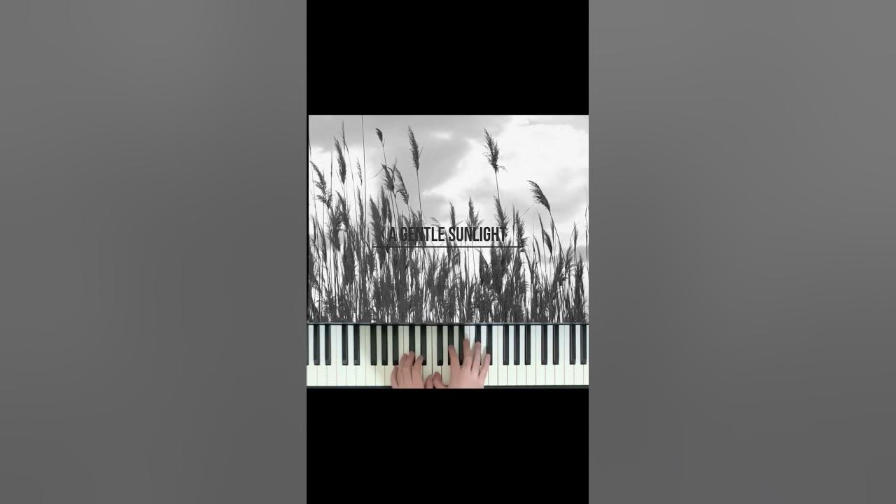 James Quinn - A Gentle Sunlight #agentlesunlight #piano #romanticpiano #pianocovers  #shorts