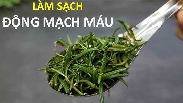 Uống thứ này mỗi ngày LÀM SẠCH ĐỘNG MẠCH, NGĂN NGỪA ĐÔNG MÁU, SUY GIÃN TĨNH MẠCH BIẾN MẤT