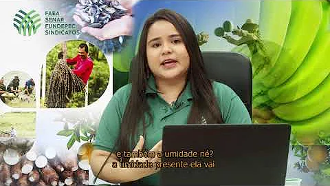 Qual a importância da correta higienização dos alimentos como deve ser feita?