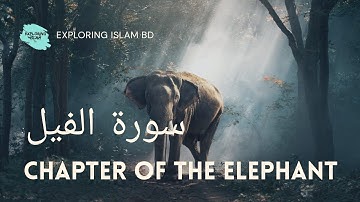 Surah Al Fil | سورة الفيل‎ | সুরা ফিল | Elephant | Exploring Islam BD