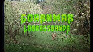 LaBrassBanda - Goaßnmaß (Official Video)