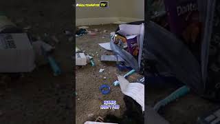 Celebrity New York Investors: You Cost Me Money… Now You Pay For It Profile