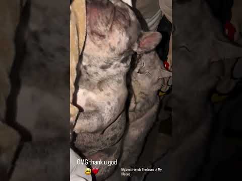 Malu Trevejo (@malutrevejo) archived Instagram Stories compilation from May 21, 2026