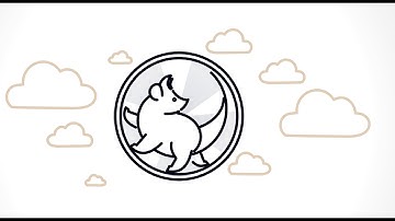 Exactpro Passive Testing Tool Shsha