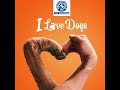 NIKKI&#39;S PET WORLD- PET SHOP | PET GROOMING SPA | VET CARE | PET CLINIC  | PET KENNELS - HYDERABAD