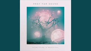 Video thumbnail of "Pray For Sound - Anything Can Be"