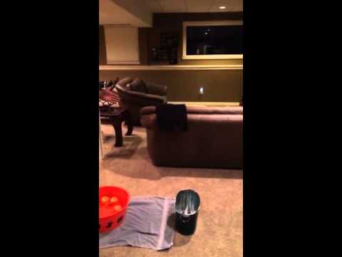 How to bob for Apples