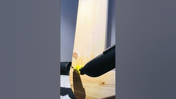 Bedbug – Steaming & Vacuuming