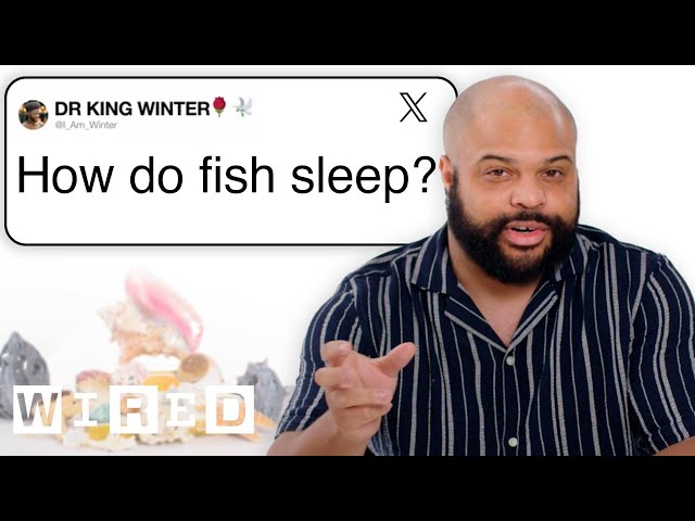 Marine Biologist Answers Fish Questions From Twitter | Tech Support | WIRED class=