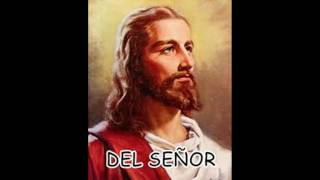 Video thumbnail of "SANTO DE LOS BEATLES"