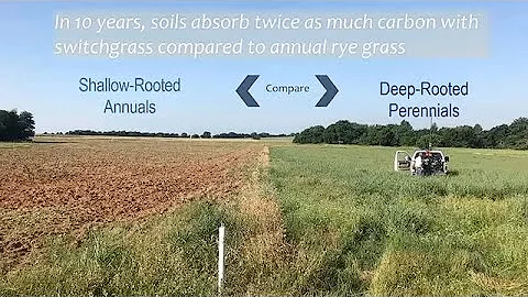 Carbon Dioxide at Scale: Working Fast for an Equitable Future - DayDayNews