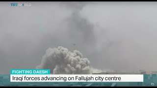 Iraqi Forces Advancing On Fallujah City Centre, Randolph Nogel Reports