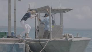 MM The Pearl Farm