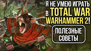 Я не умею играть в Total War: WARHAMMER 2! Полезные советы