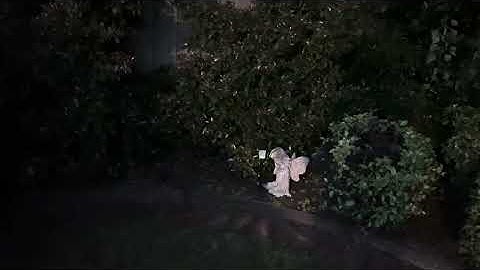 On Open Forums & New Visions of the Ontological Imagination // Monash Global Discovery Program