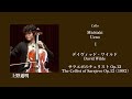 上野通明, サラエボのチェリスト, Michiaki Ueno, The Cellist of Sarajevo, Wilde