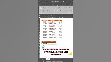 Excel Fonction SOMME.SI | Extraction De Données Astuce