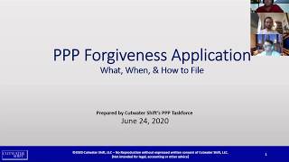PPP Forgiveness Application Updates
