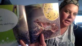 Shared Read Animals In Spring