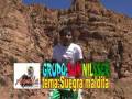 SON NILSSER- SUEGRA MALDITA