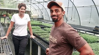 She built a PROFITABLE & SUSTAINABLE MICROGREENS BUSINESS from her BACKYARD