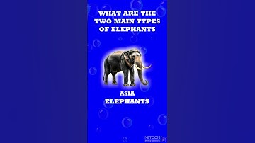 English GK Questions for Kids | Quiz Time | Kids IQ | #LKG #UKG #fruits #colours #animals #funny