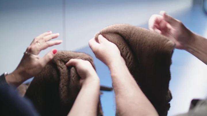KOPENHAGEN FUR - Maintenance