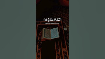 ﴿يَا لَيْتَهَا كَانَتِ الْقَاضِيَةَ﴾ #القرآن_الكريم #ياسرالدوسري  #سورة_الحاقة #لايك #اكسبلور