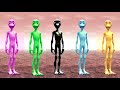 Dame Tu Cosita FULL HD All Variation Dame Tu Cosita Music Video 2025 