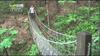 [HIT] A house built in a tree, is it for real! Live Info Show 05/19/2014