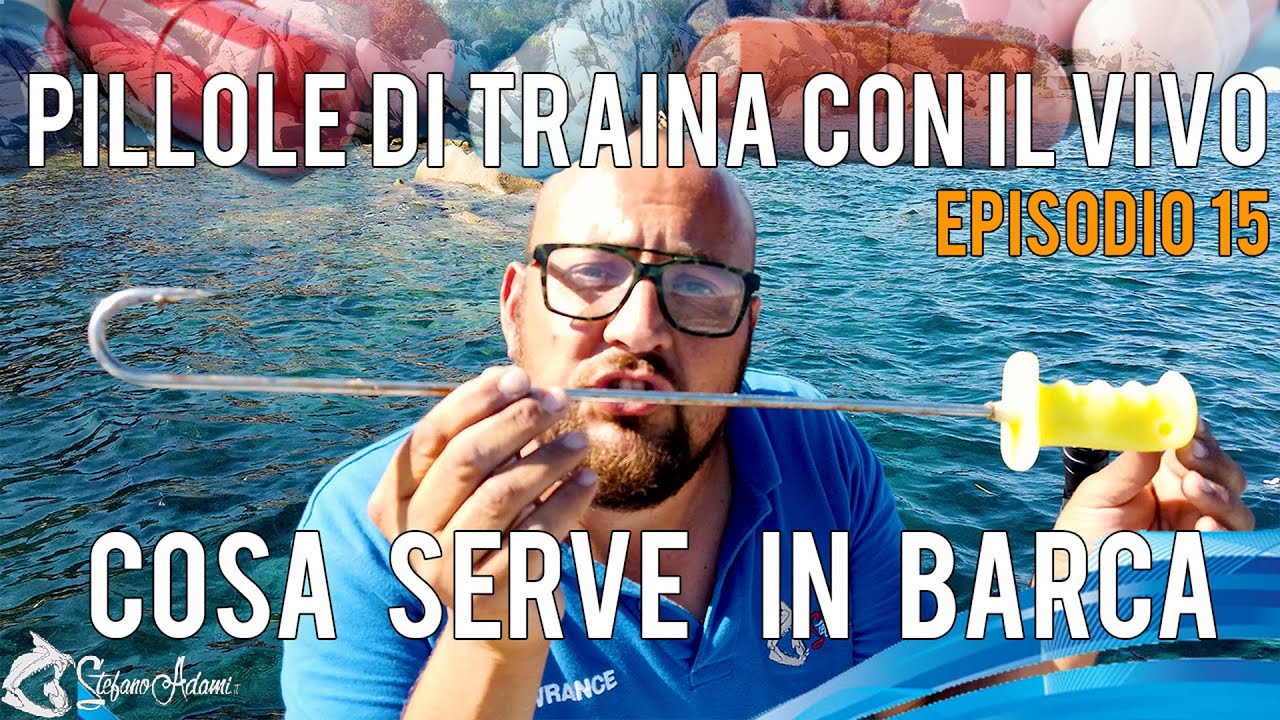 Traina col vivo 15 quale attrezzatura serve per trainare