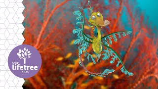 Fern The Leafy Seadragon Buzzlys Buddies Weird Animals Vbs