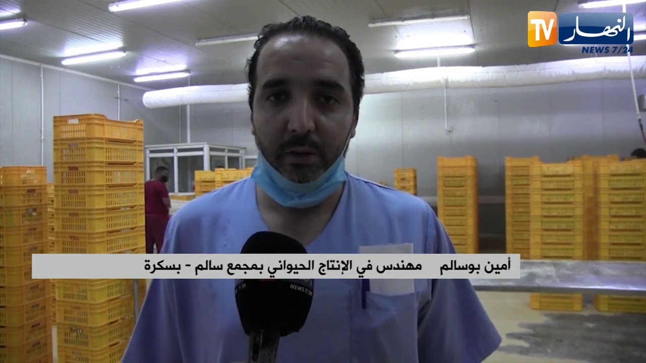 بسكرة: مشروع واعد لإنتاج 100 ألف دجاجة يوميا بغية الإستهلاك المحلي والتصدير